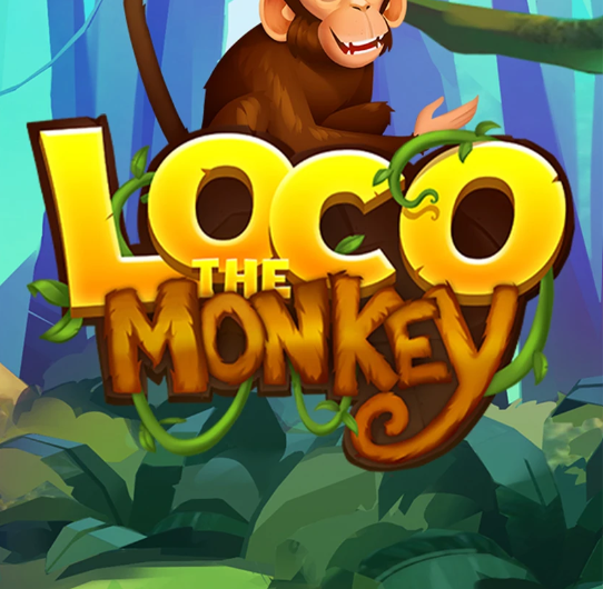 Loco the Monkey